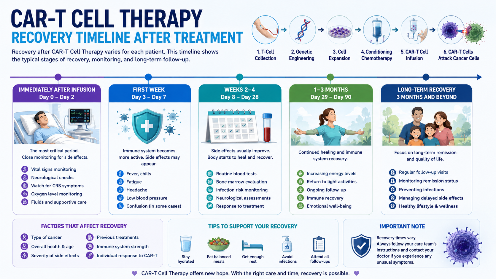 CAR-T Cell Therapy Recovery Timeline After Treatment