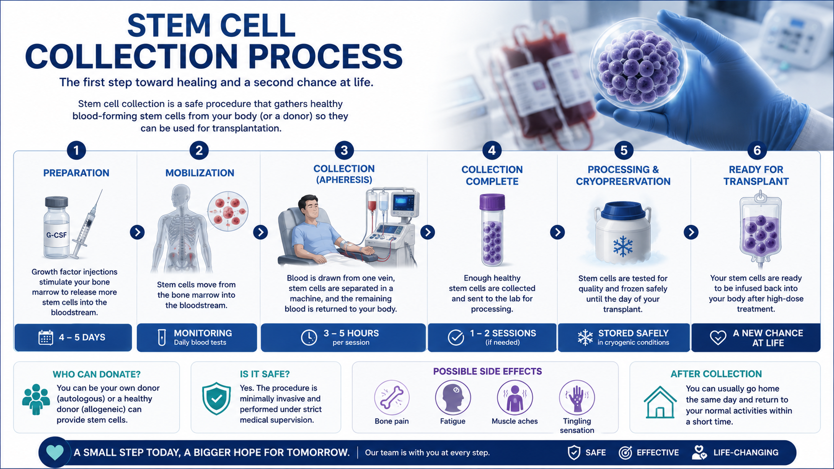 Stem Cell Collection Process